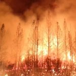 New Law Coming: PGE to Pass Fire Costs to Ratepayers ?