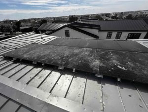 Debris from Birds Dropped on Solar Array